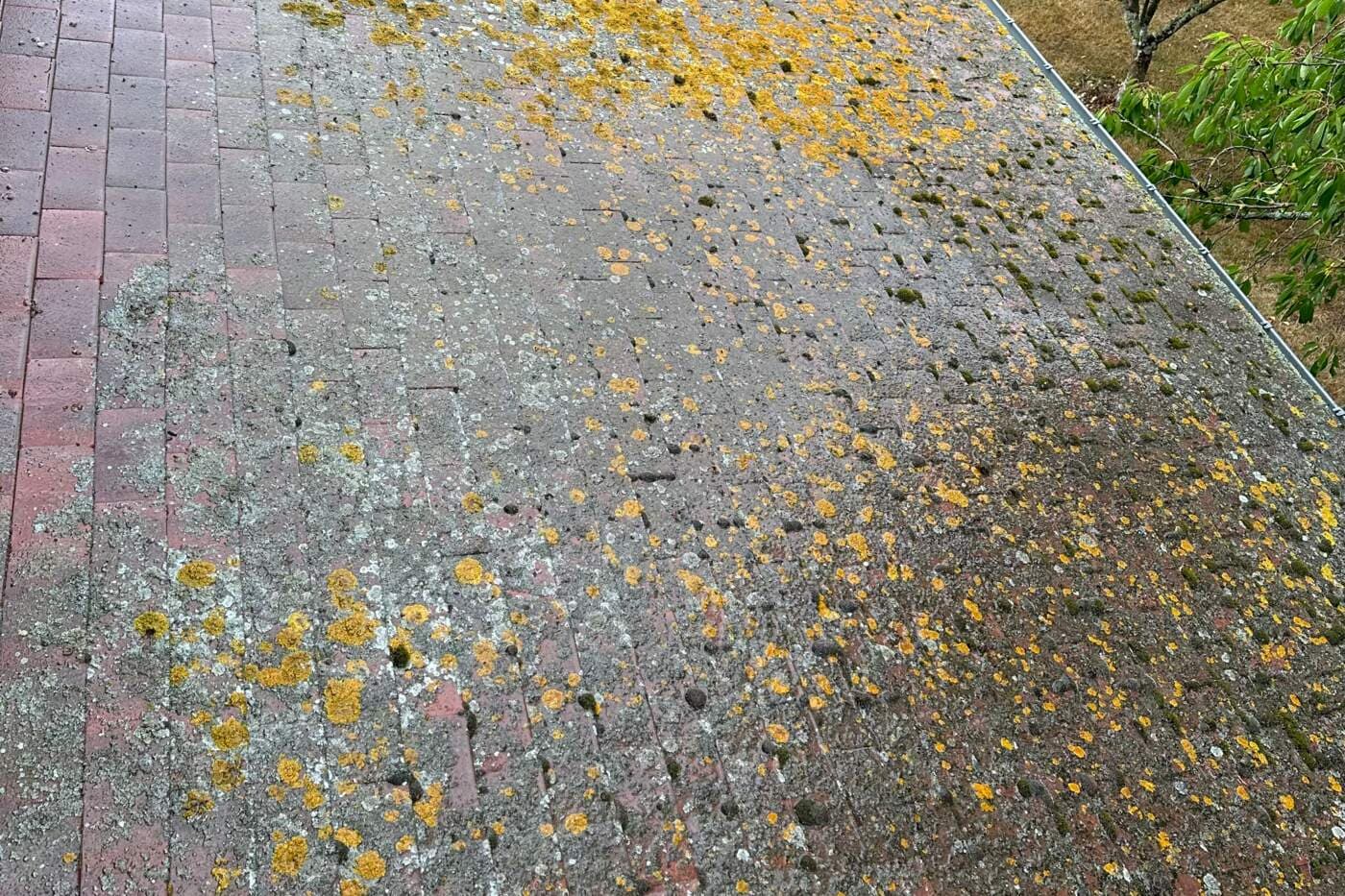 Toiture en tuile béton démoussée par PROUX — avant